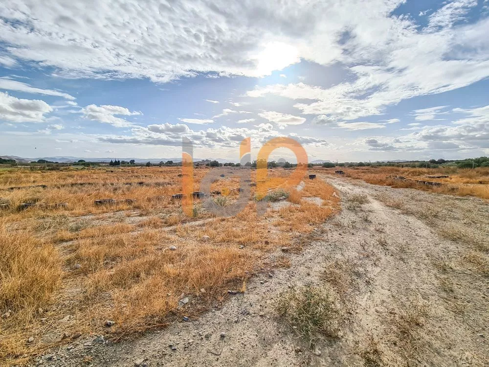 Finca de 6,5ha con nave y casa