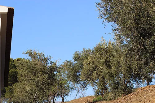 Se vende finca rústica