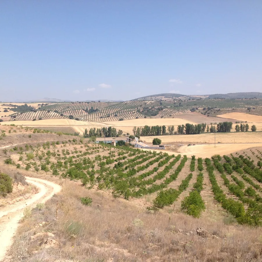 VENTA DE FINCA