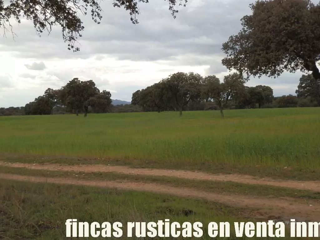 finca en venta 150 has. ganadera en Toledo