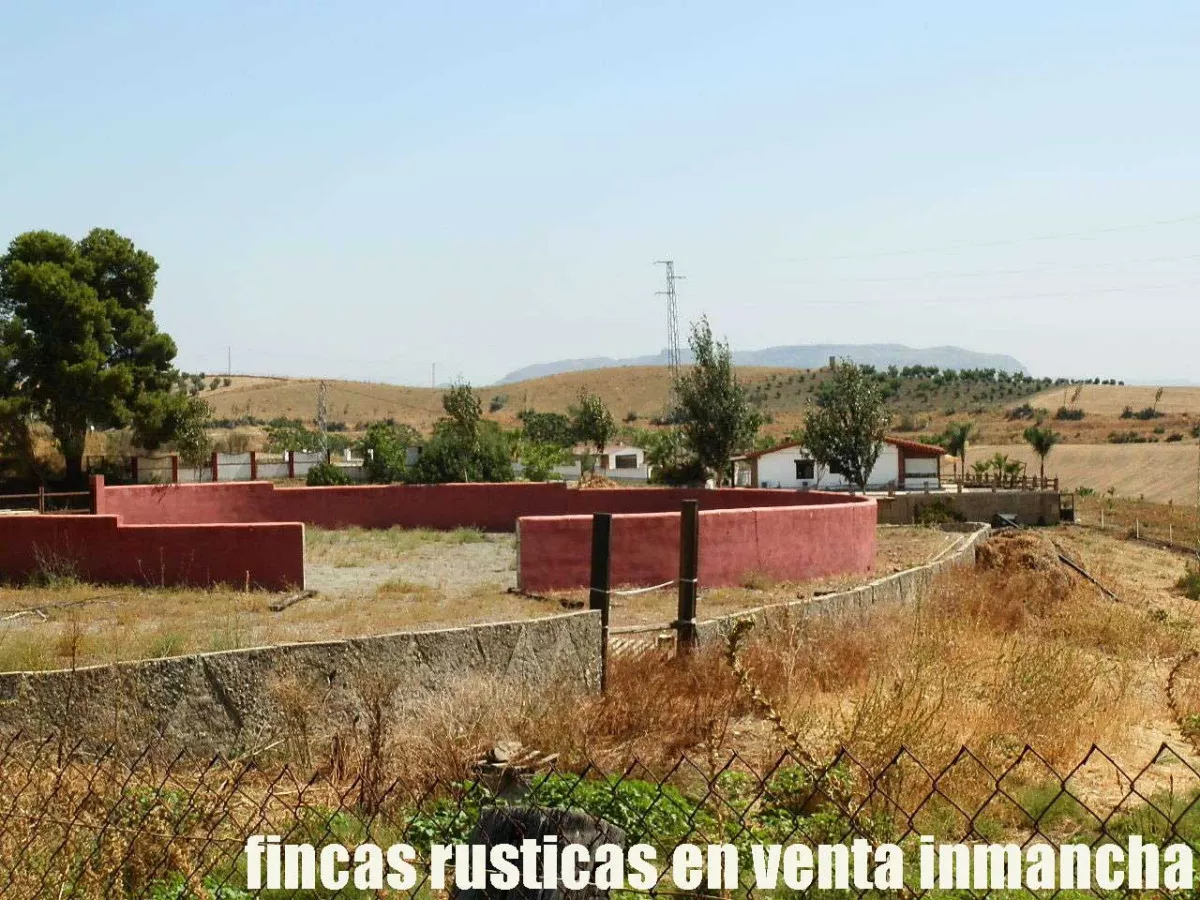 finca en venta inmancha 6 has. para caballos 