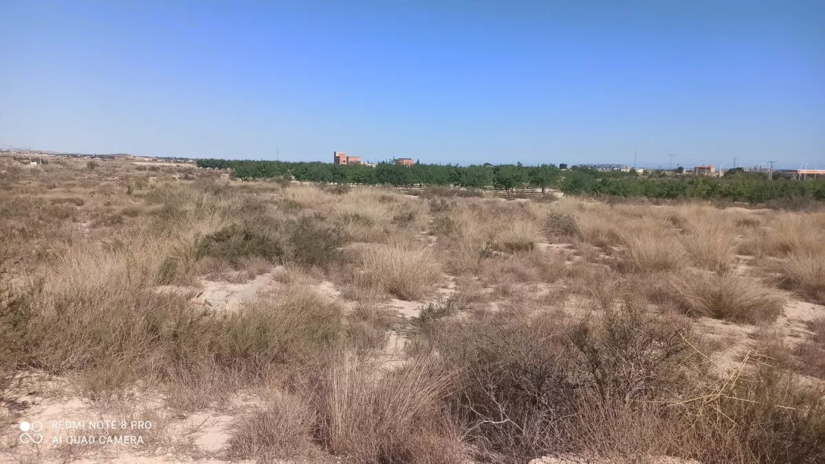 Se venden 2 parcelas rústicas en Agost