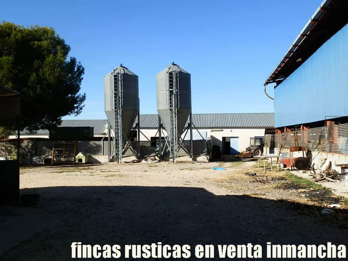 finca en venta 30 has. olivar recreo