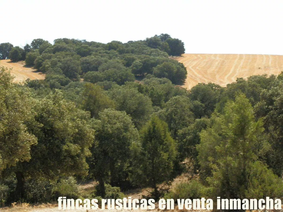 finca en venta 540 has. labor secano caza 