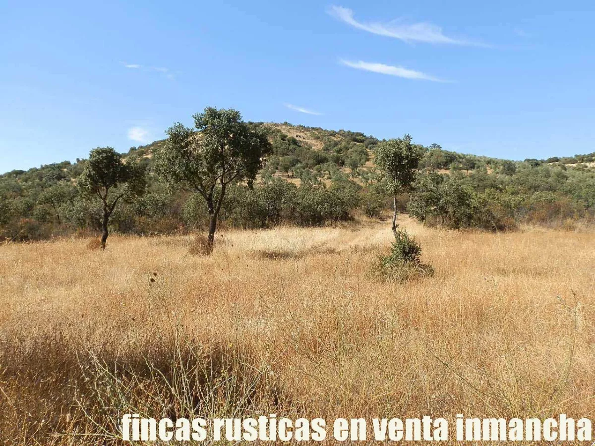 finca venta 140 has. labor secano ganadera 