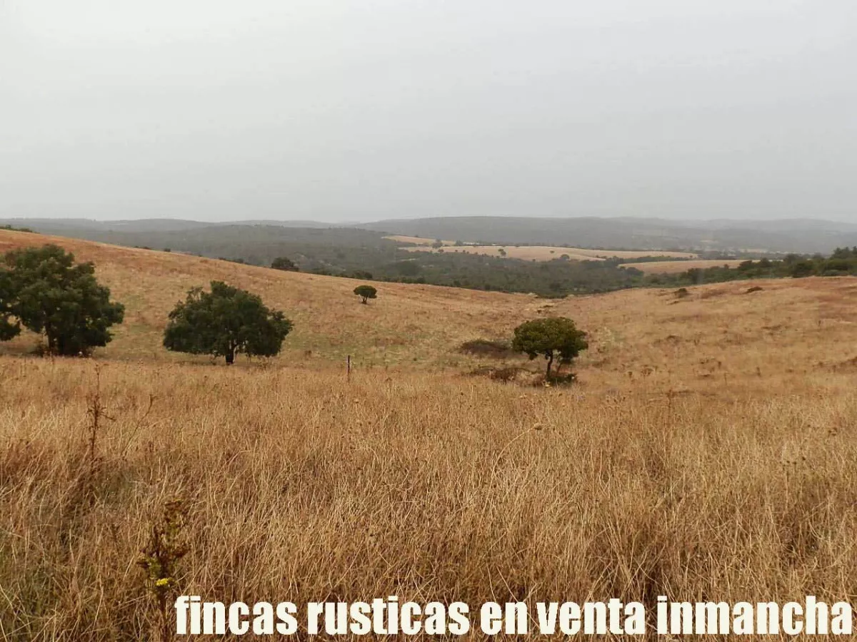 finca en venta 63 has. labor secano caza 
