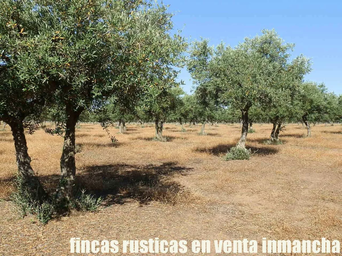 finca en venta 350 has. labor secano caza 
