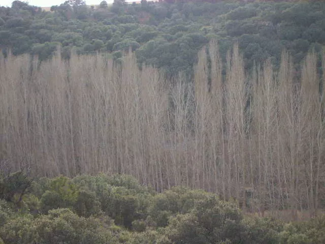 finca en venta 660 has. labor secano caza 