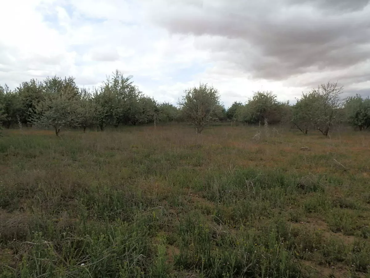 finca en venta 309 has. labor secano caza 