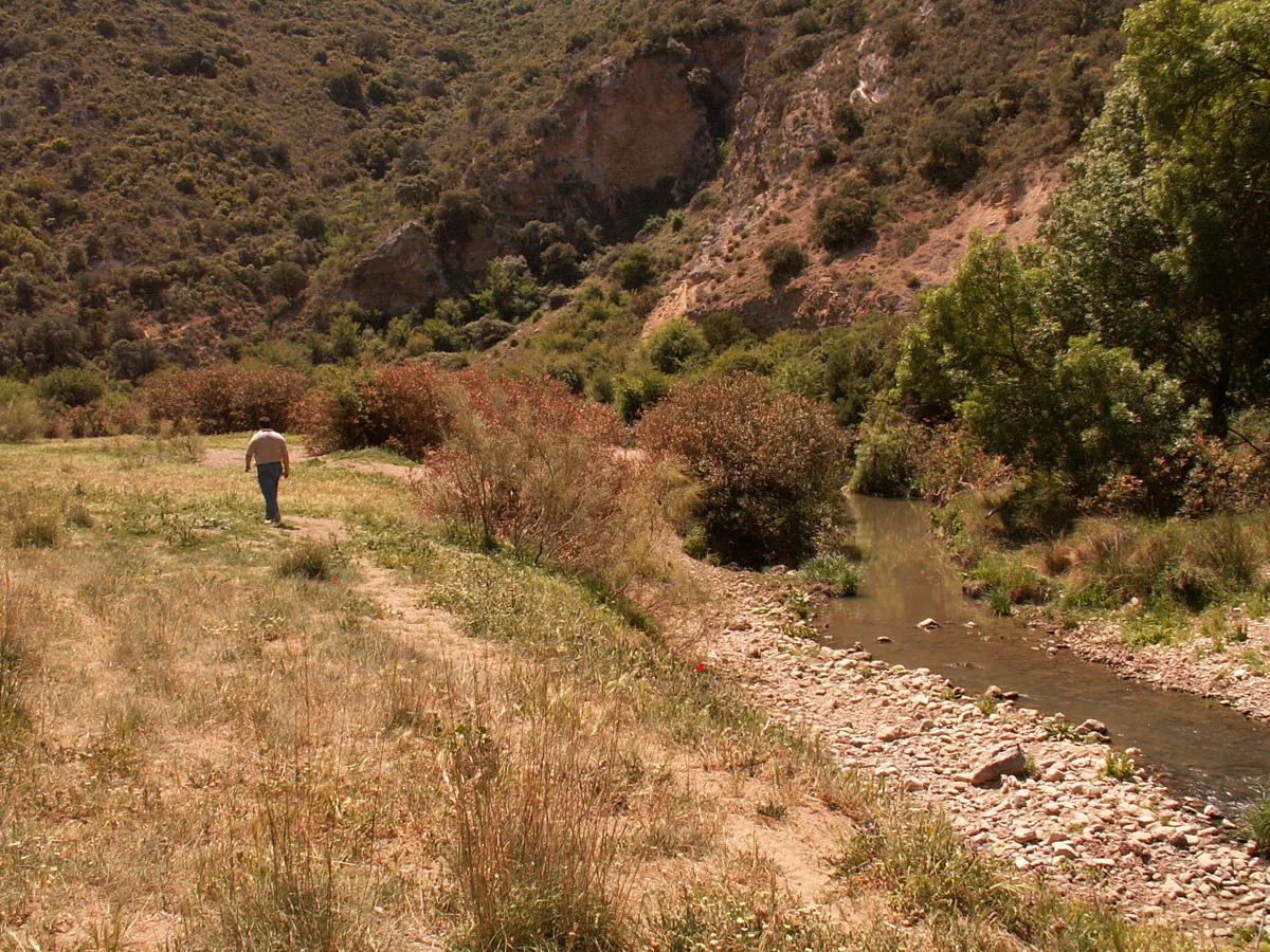 Finca de 20 Has en Villanueva del Rosario