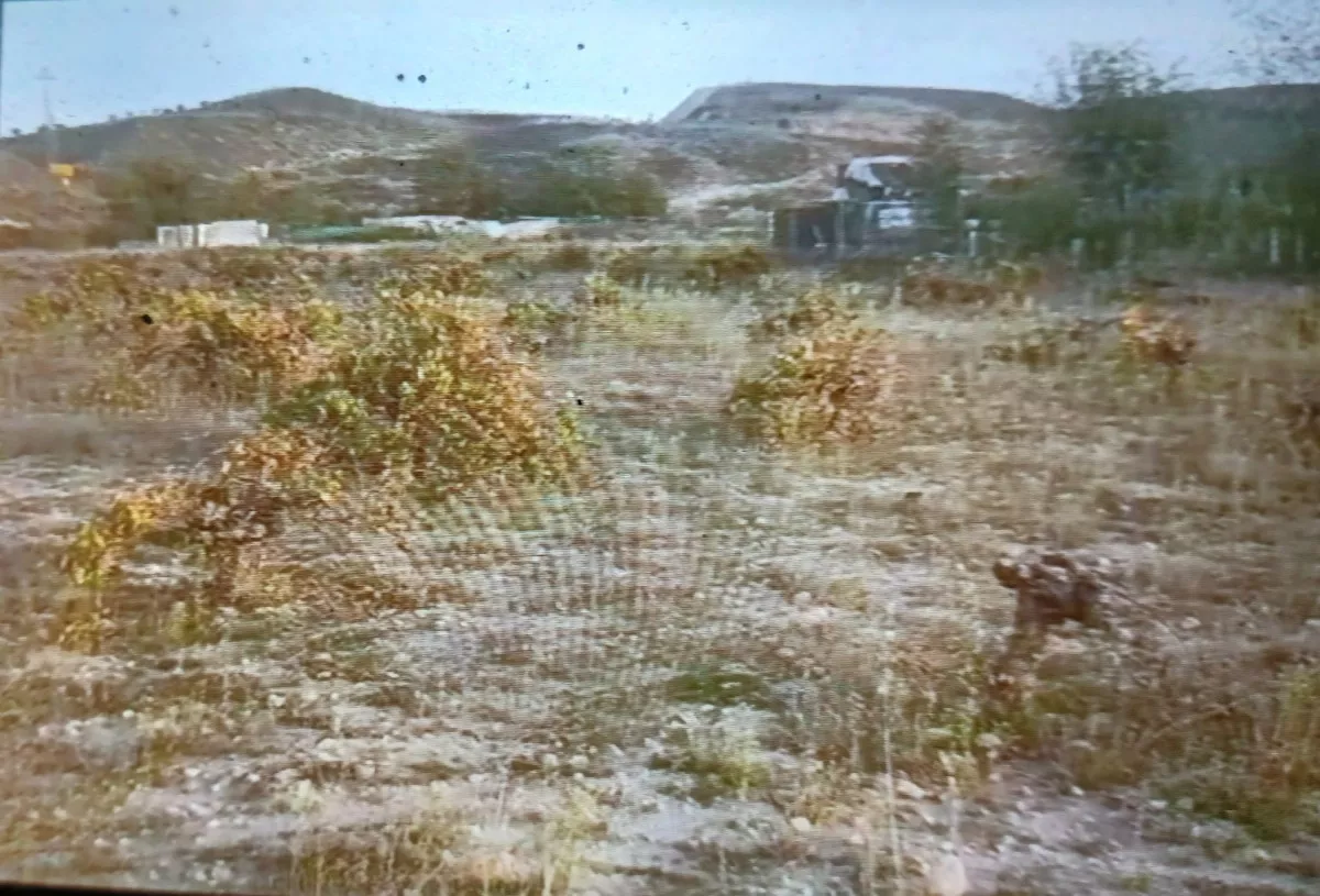 Parcela de 0,8 Ha. con viña en Chinchón