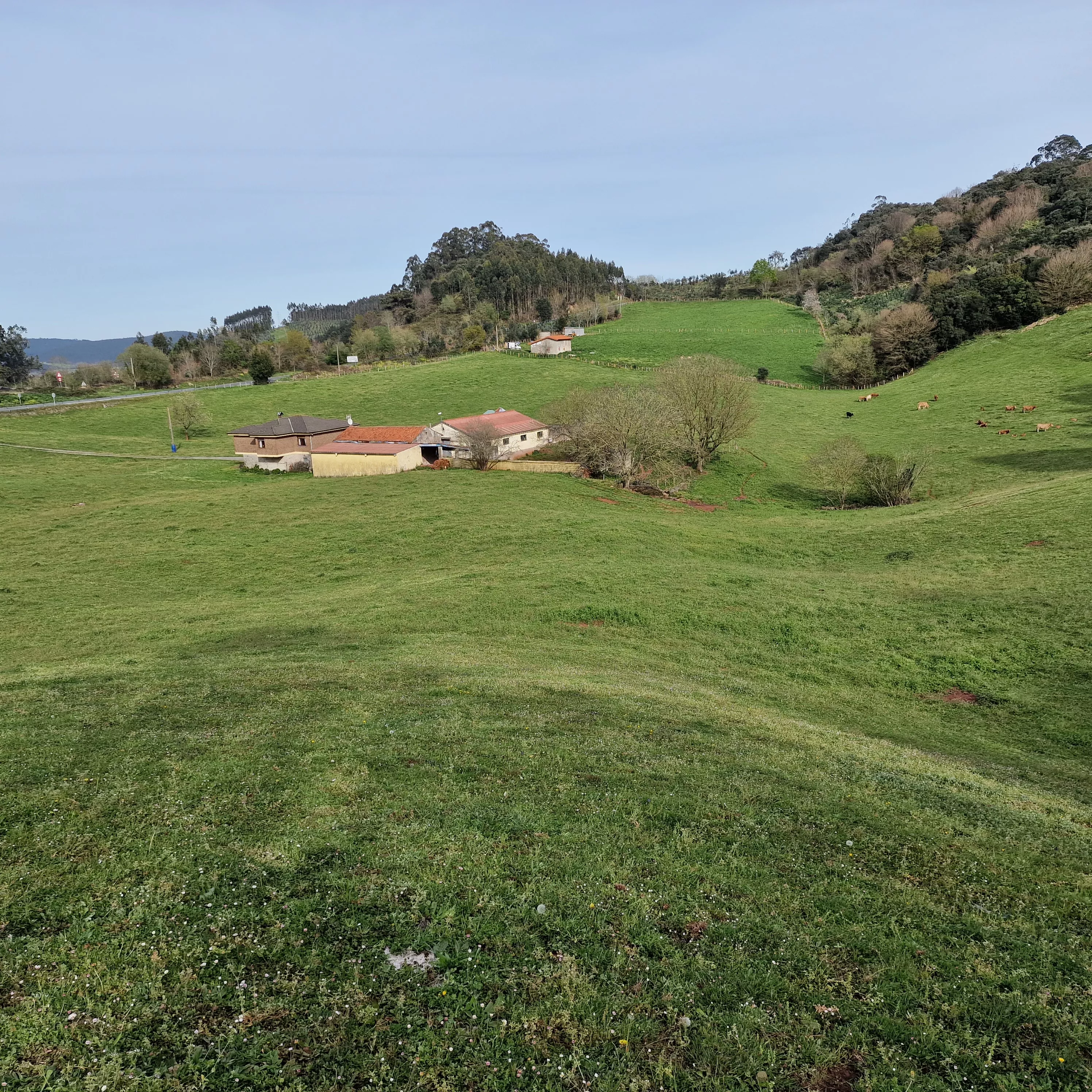 FINCA EN HAZAS DE CESTO