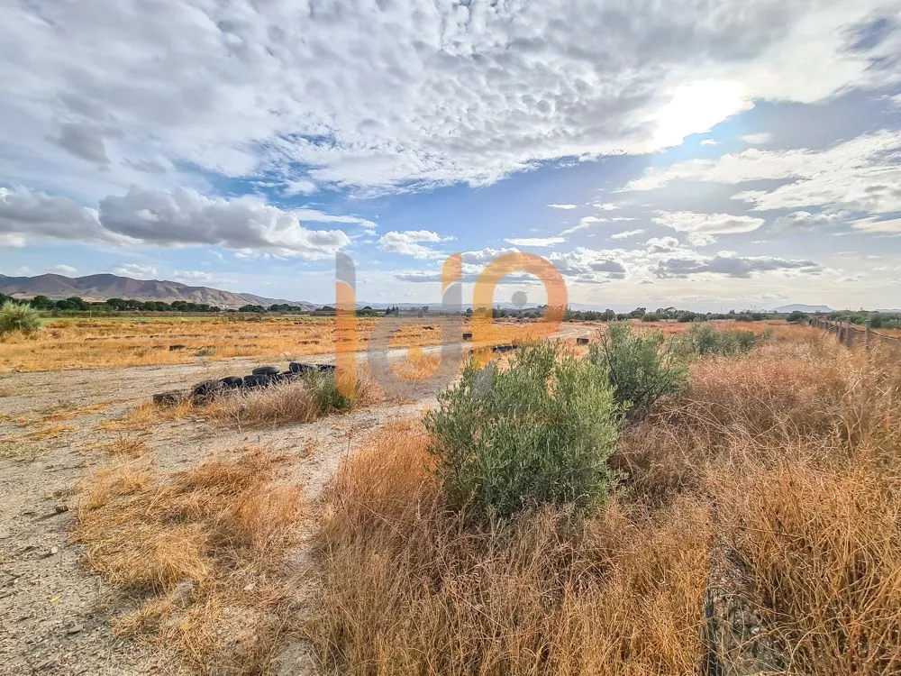 Finca de 6,5ha con nave y casa