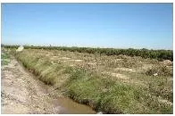 Venta de Finca para cultivo de hortalizas y frutales en Valencia