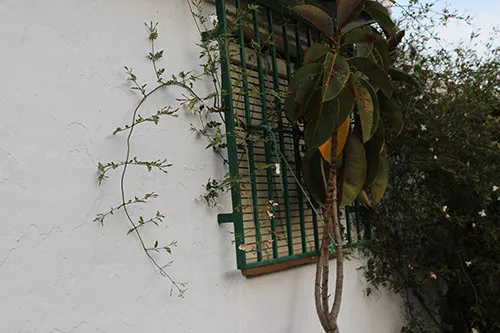 Se vende finca rústica
