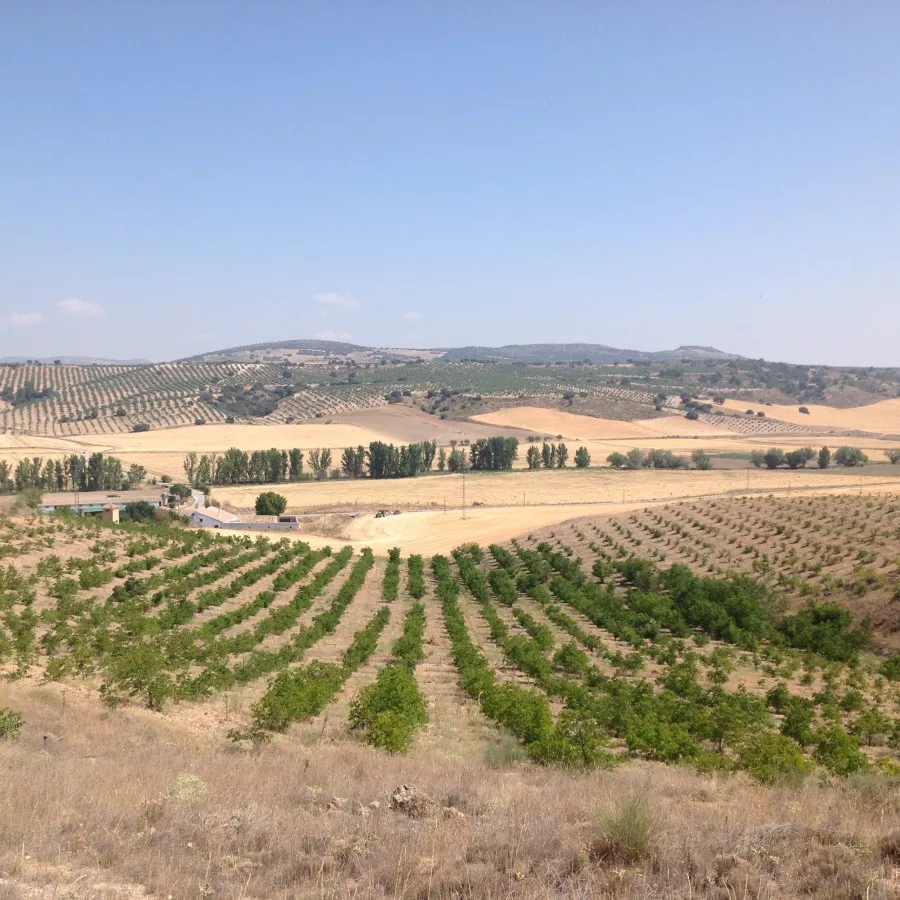 VENTA DE FINCA