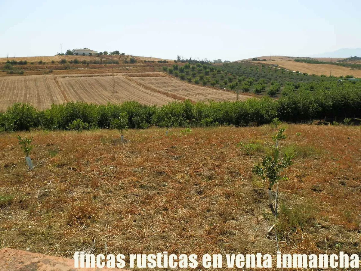 finca en venta inmancha 6 has. para caballos 
