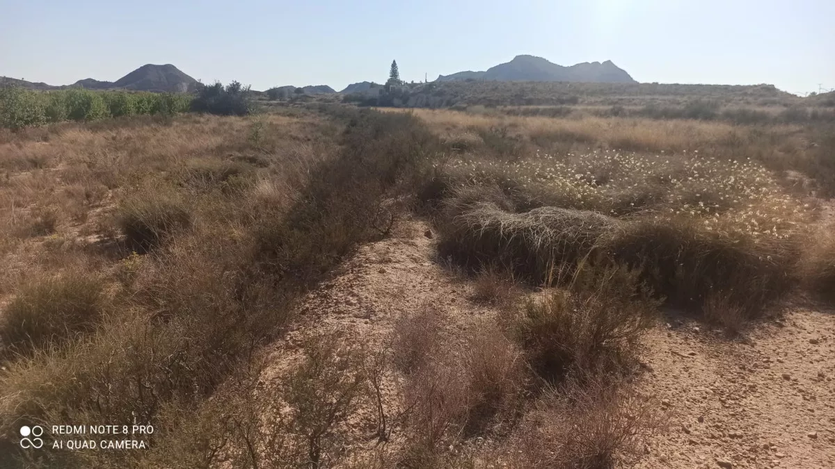 Se venden 2 parcelas rústicas en Agost