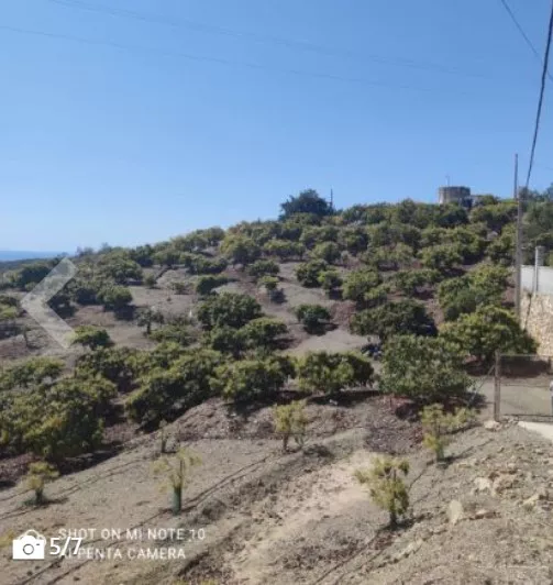 finca muy cerca de Málaga con vistas