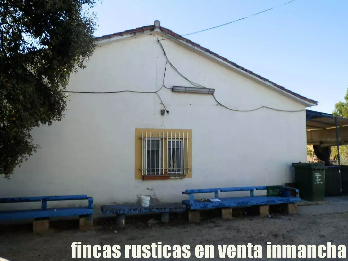 finca en venta 30 has. olivar recreo