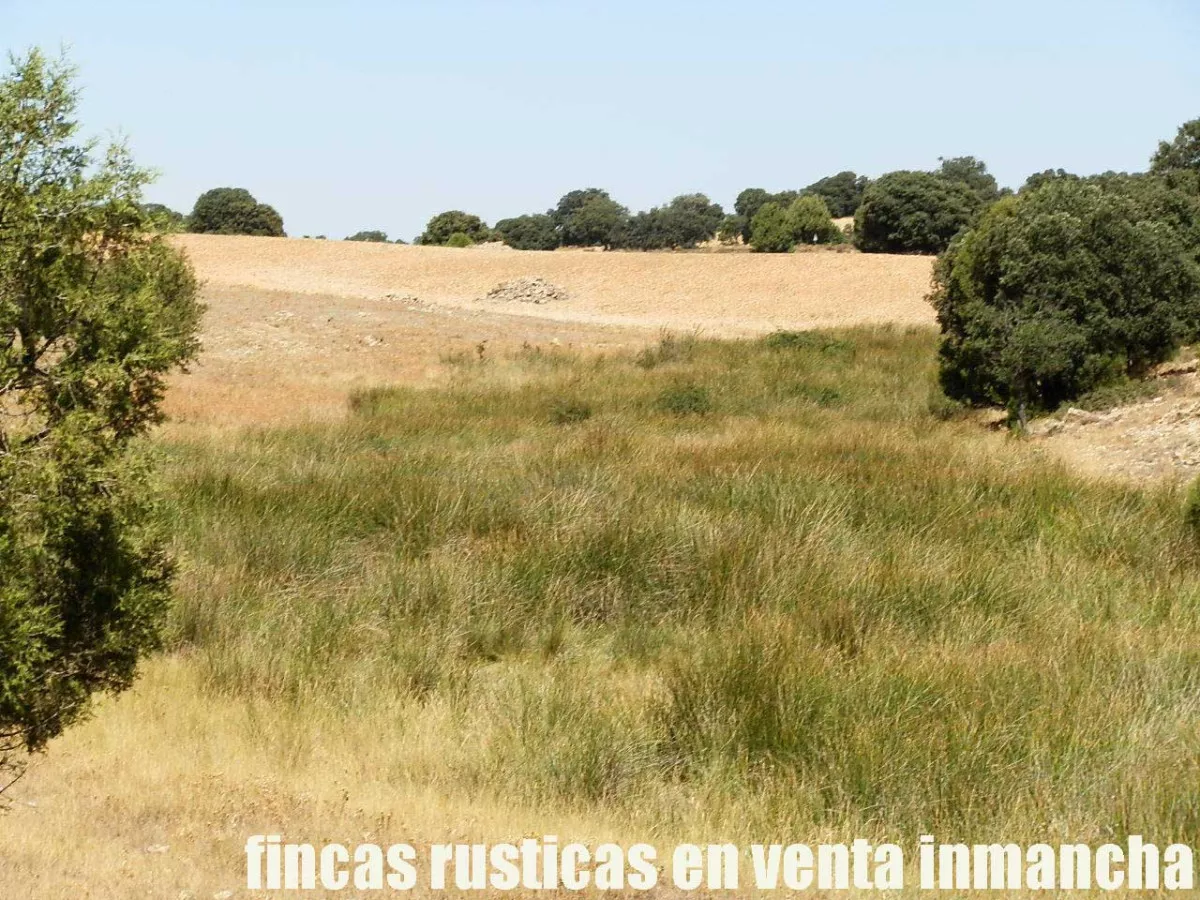 finca en venta 540 has. labor secano caza 