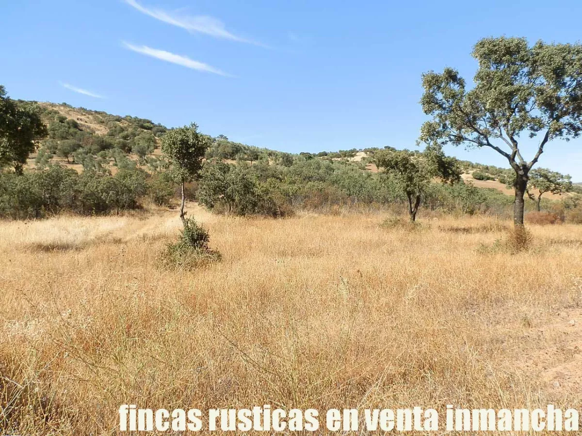 finca venta 140 has. labor secano ganadera 