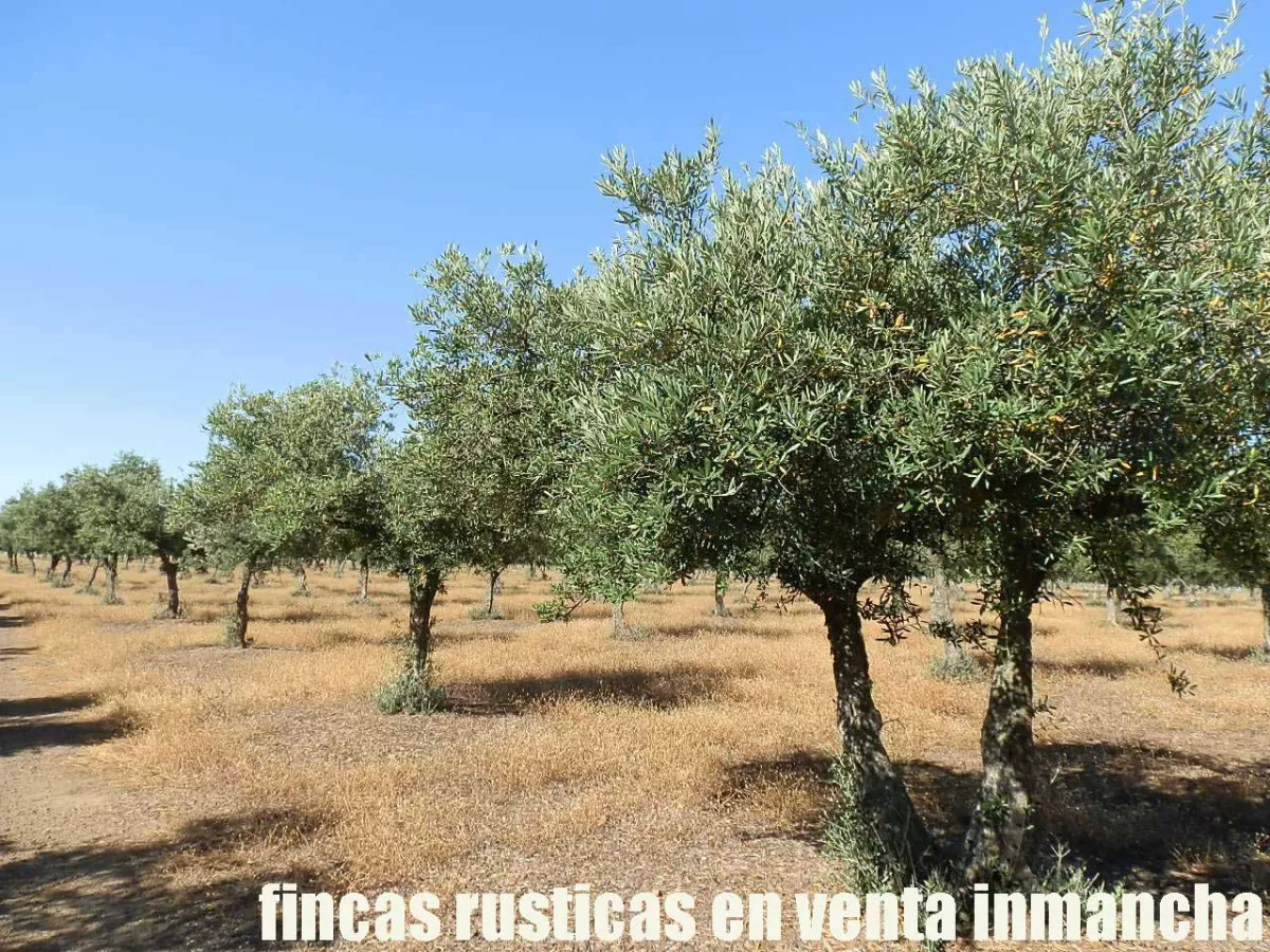 finca en venta 350 has. labor secano caza 