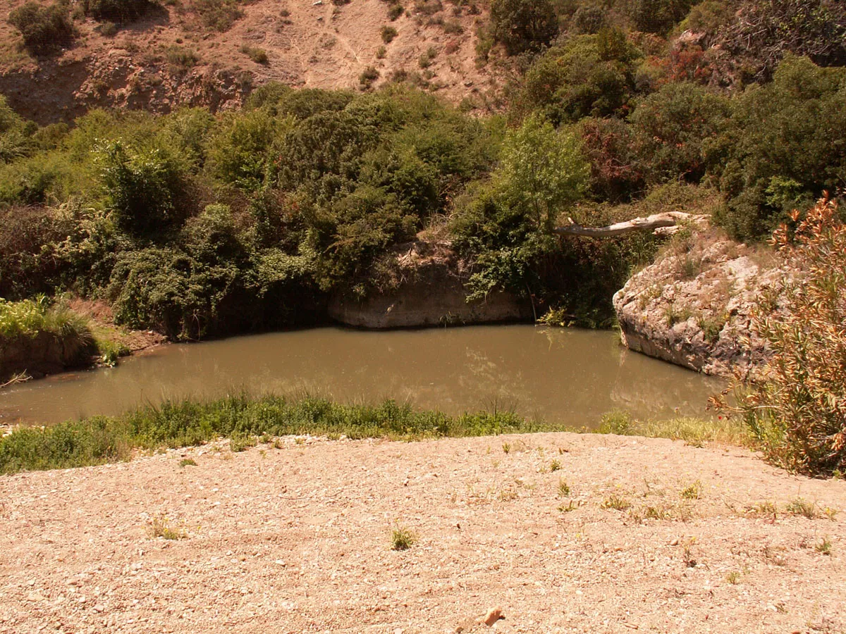 Finca de 20 Has en Villanueva del Rosario
