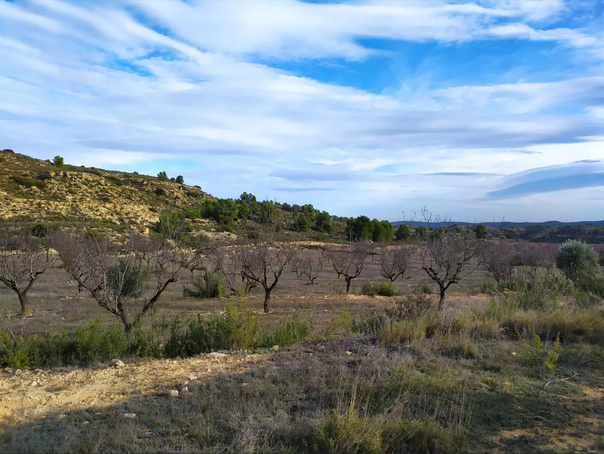 Finca rústica en Maella (Bajo Aragón)