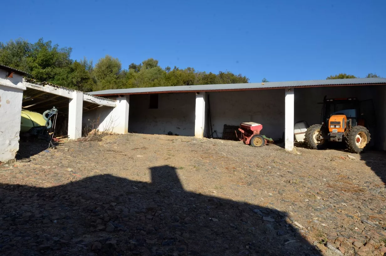 Finca de olivar ecológico en Algodonales | Cádiz | 86 ha