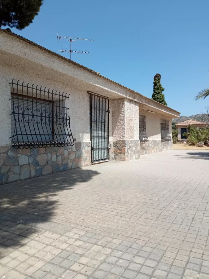 Venta Finca Secano Olivos/Agricola