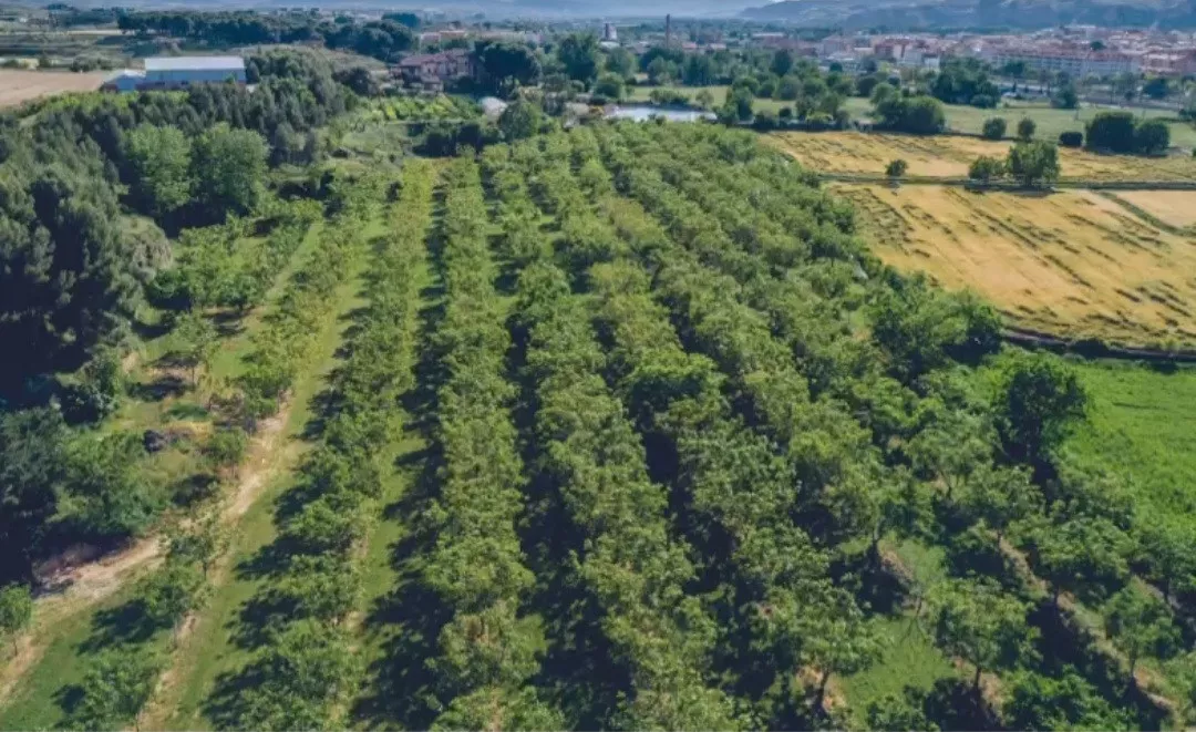 Finca en venta Zaragoza