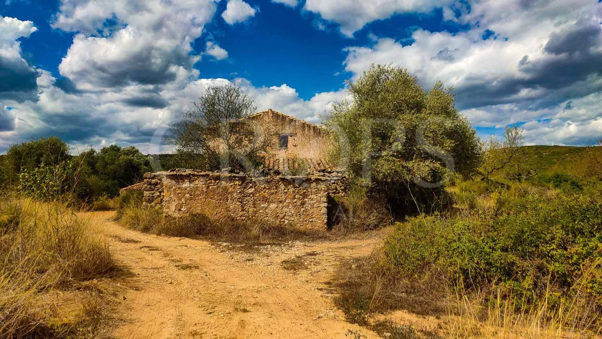 Finca Agrícola y Residencial en Castellón