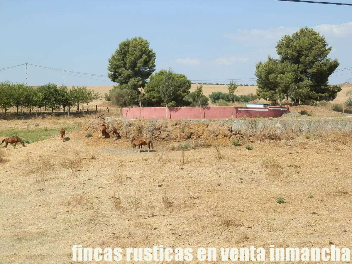finca en venta inmancha 6 has. para caballos 