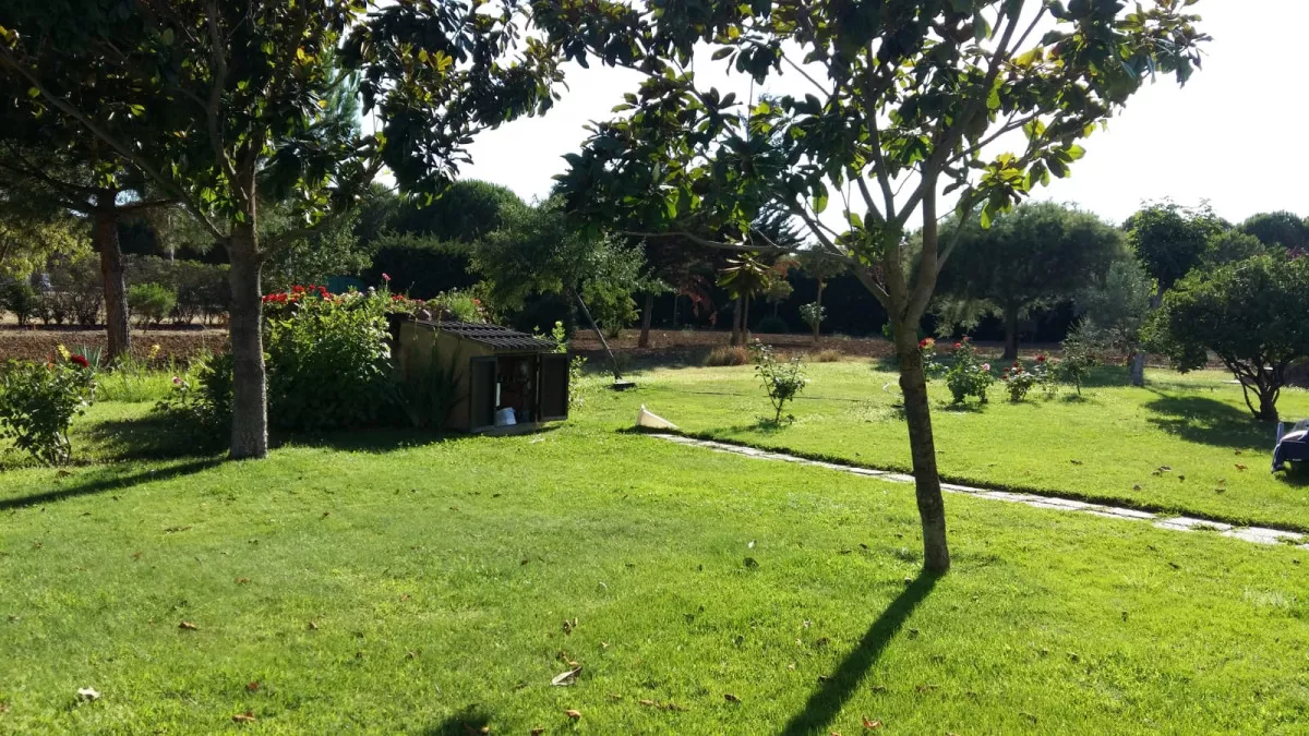 CHALET CON TERRENO