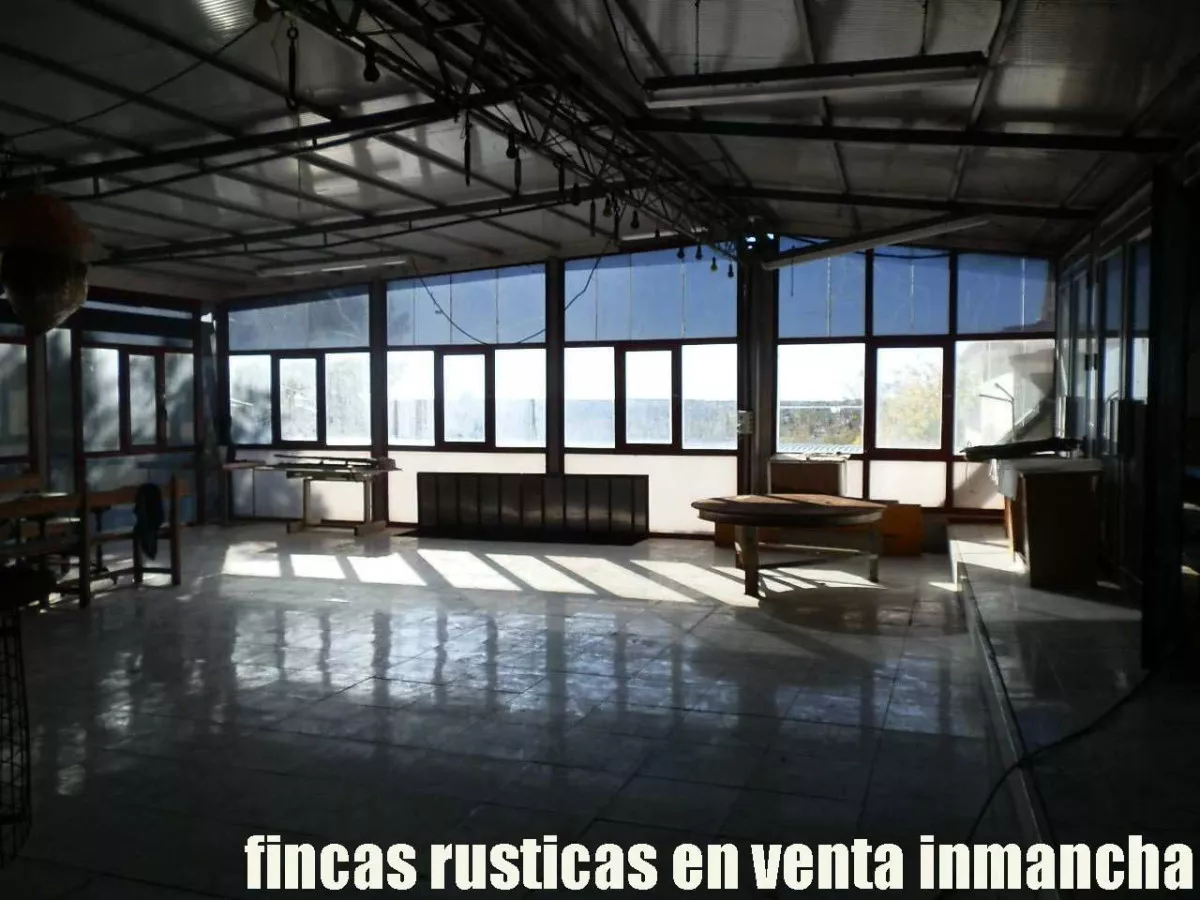 finca en venta 30 has. olivar recreo