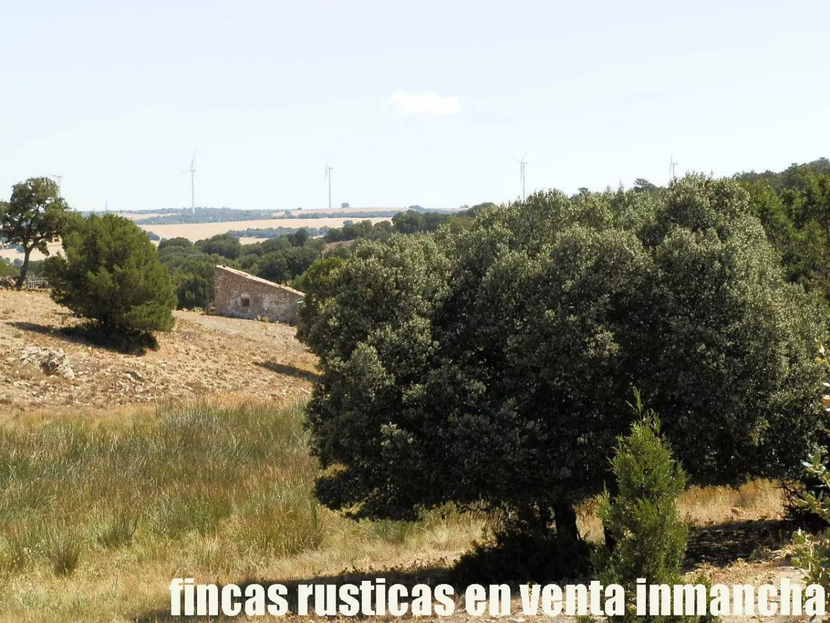 finca en venta 540 has. labor secano caza 