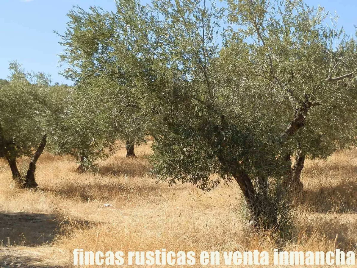 finca venta 140 has. labor secano ganadera 