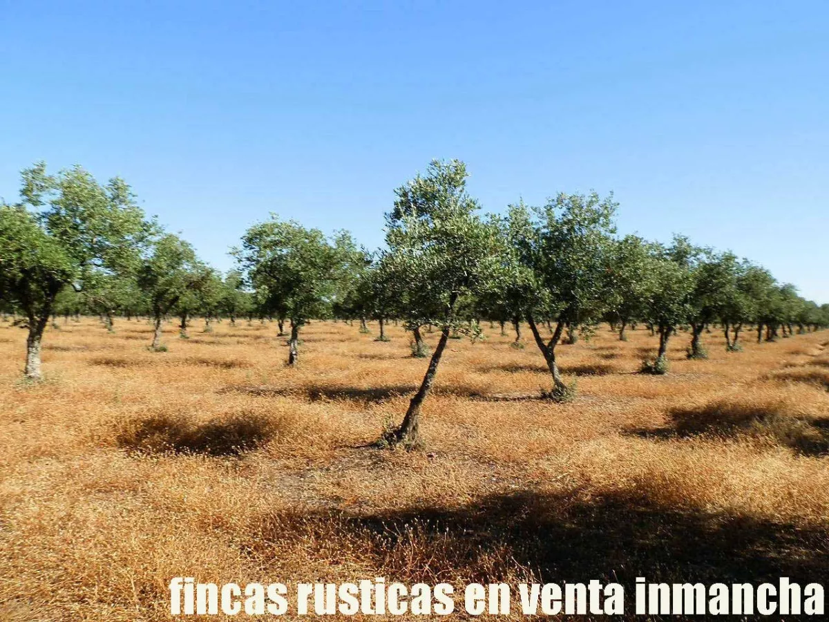 finca en venta 350 has. labor secano caza 