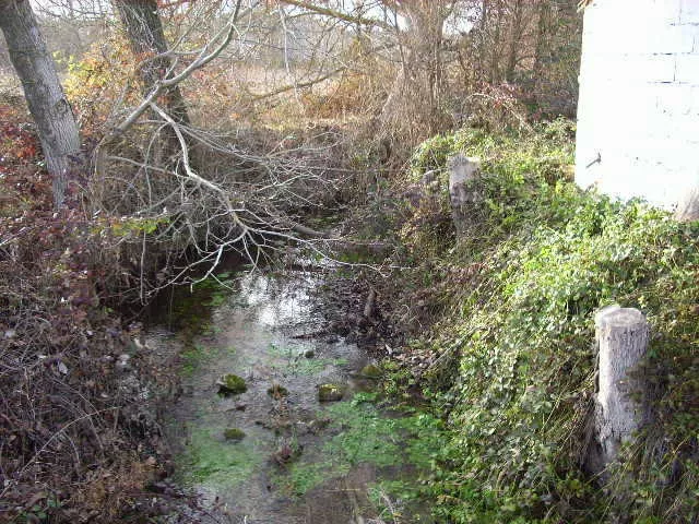 finca en venta 660 has. labor secano caza 