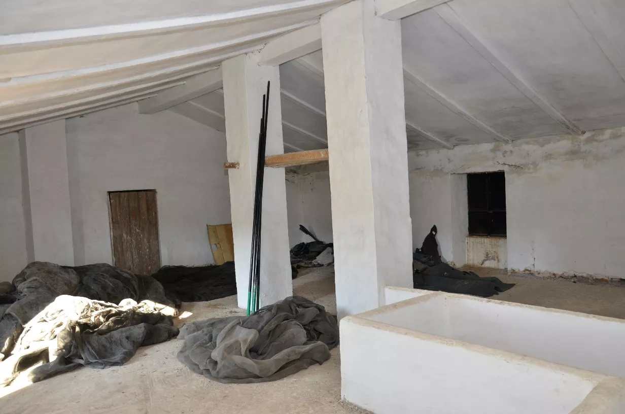 Finca de olivar ecológico en Algodonales | Cádiz | 86 ha
