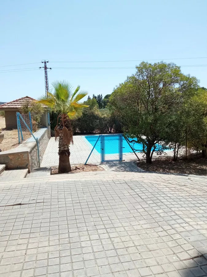 Venta Finca Secano Olivos/Agricola
