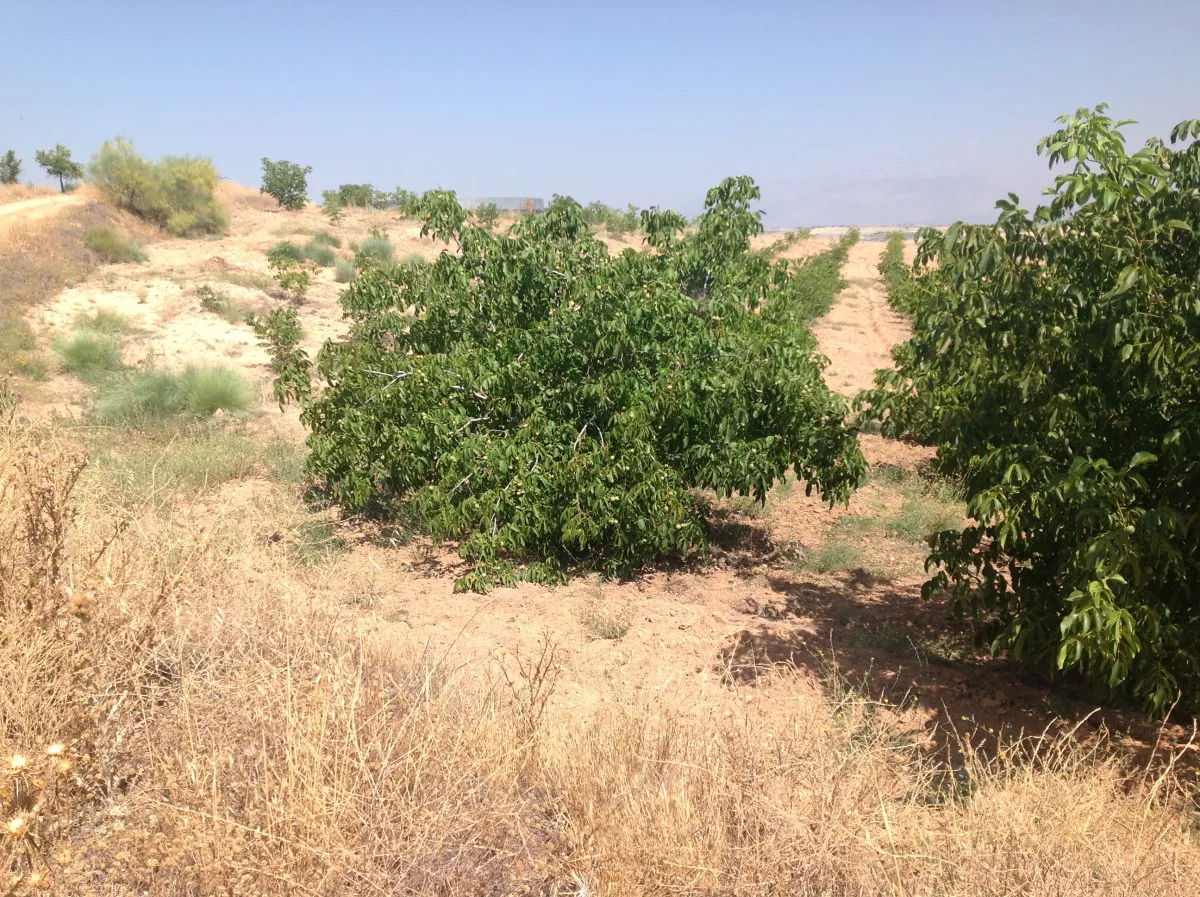 VENTA DE FINCA