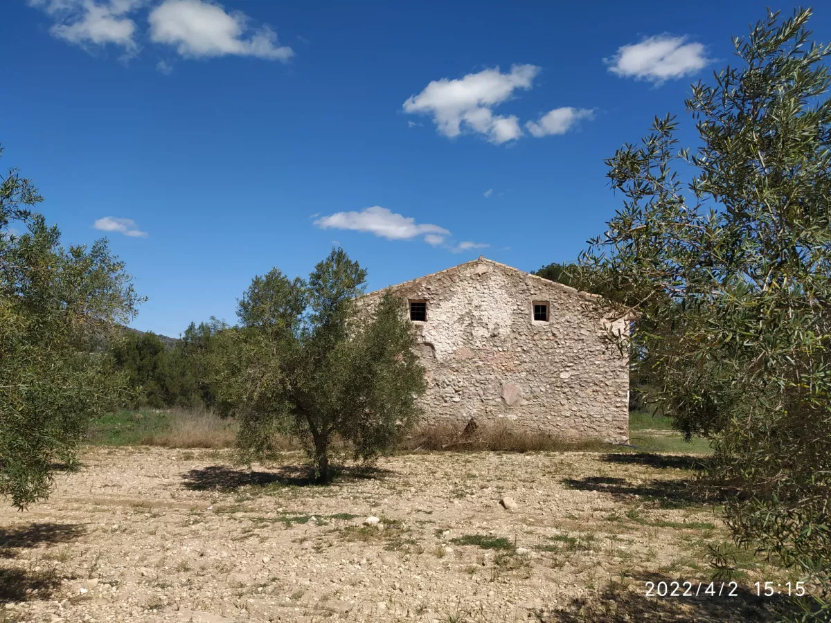 Casa en finca  32 has olivos y viñedos