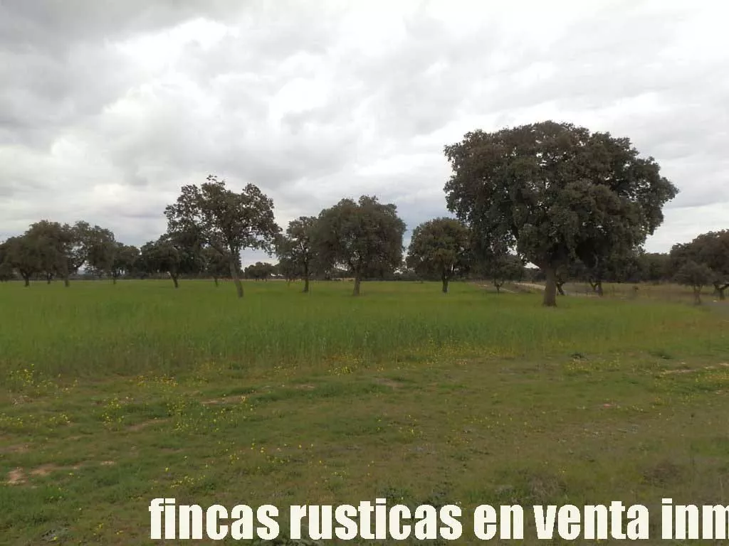 finca en venta 150 has. ganadera en Toledo