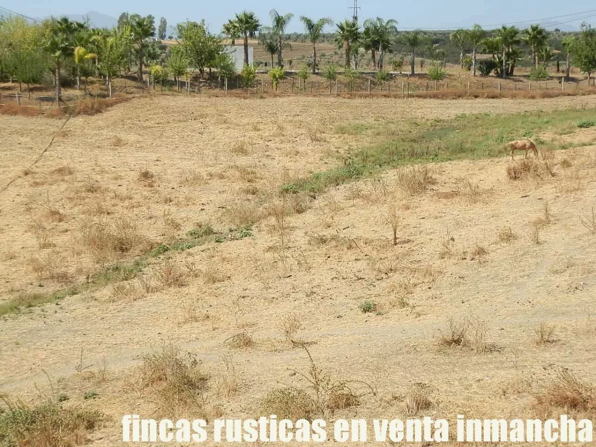 finca en venta inmancha 6 has. para caballos 