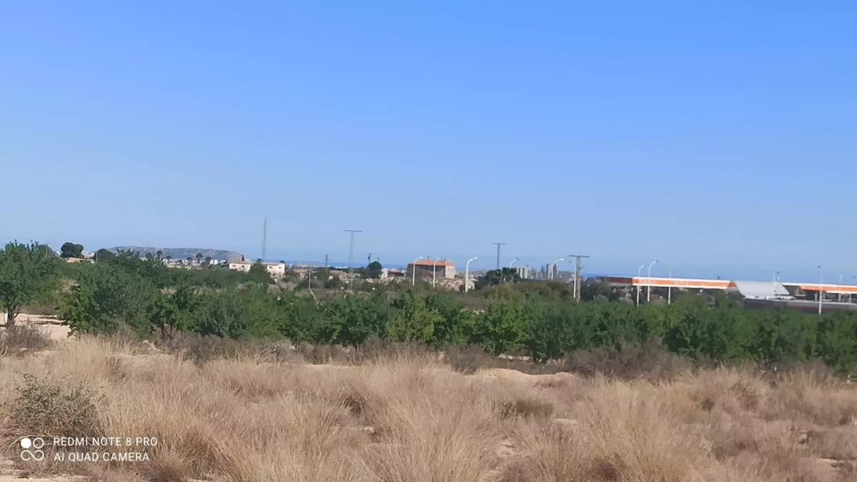 Se venden 2 parcelas rústicas en Agost