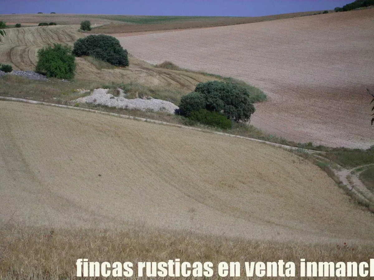 finca venta 256 has. labor secano caza menor