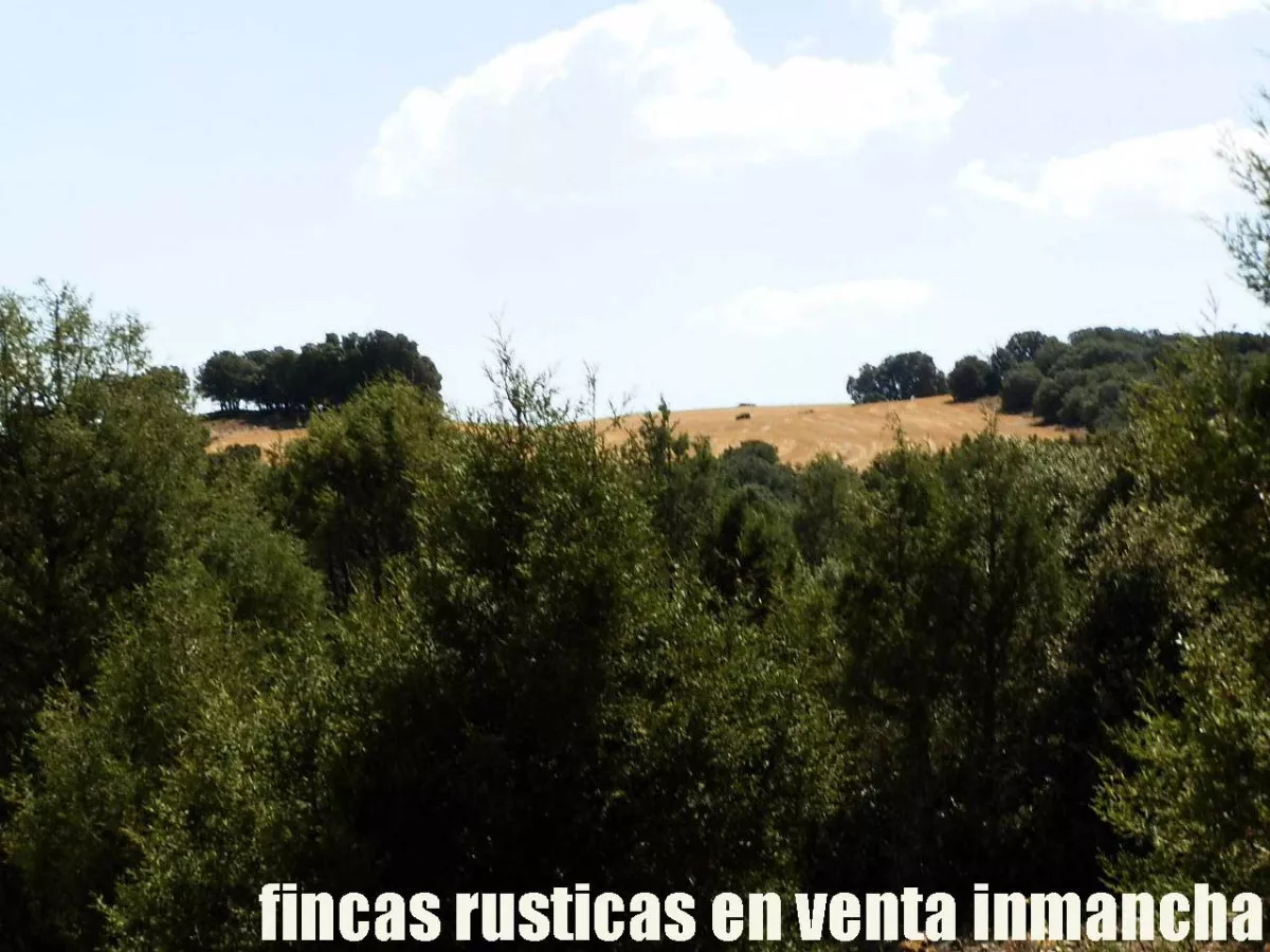 finca en venta 540 has. labor secano caza 