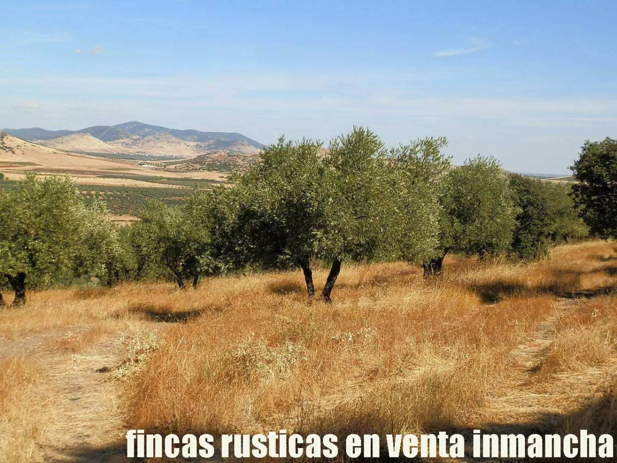 finca venta 140 has. labor secano ganadera 